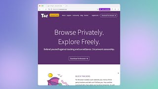 How to Use Tor Browser [upl. by Annaegroeg]