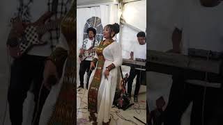 Timnit welday Ethiopian wedding live music performance habesha tigrignamusicabrahamgebremedhin [upl. by Nalyd863]