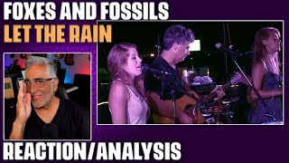 quotLet The Rainquot Sara Bareilles Cover by Foxes and Fossils ReactionAnalysis by MusicianProducer [upl. by Baniez375]