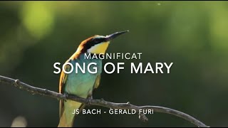 MagnificatSong of Mary [upl. by Serolod]