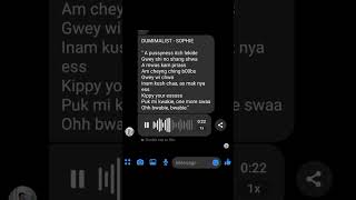 DUMIMALIST  SOPHIE  LYRICS lyrics sophie funny jiafei shortsvideo ytshort shorts ayessa [upl. by Airet958]