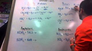 Acids Bases and Amphiprotic Species [upl. by Ayeka]