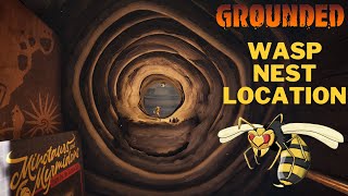 How To Unlock The Wasp Nest in Grounded  Wasp Nest Location  Disturb The Wasps Nest [upl. by Burr]