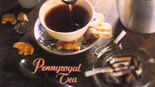 Nirvana  Pennyroyal Tea single Full [upl. by Arihay]