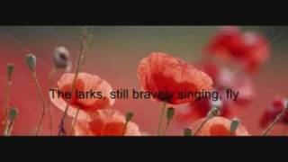 In Flanders FieldsA Remembrance Day Slideshow [upl. by Cleavland]