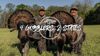 Turkey Hunting 4 gobblers 2 states SAME DAY [upl. by Norehc]