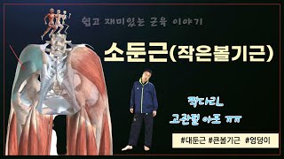 소둔근이 고관절의 심각한 통증을 유발하는 거 아세요27소둔근 [upl. by Vacla]