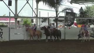 Charreada el Ricachón desde rancho el pial 🏆🐴domingo 1100 am [upl. by Odrahcir]