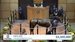 Moira sells for 4300000 at The November Sale 2024 [upl. by Devaney]