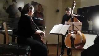 Chamber Noise pour violoncelle et contrebasse d Ondrej Adamek [upl. by Erdied]