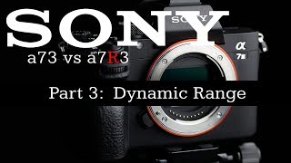 Sony a73 vs Sony a7R3  Part 3 Dynamic Range  4K [upl. by Cherish]