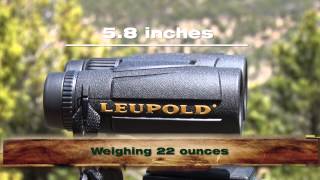 Leupold BX1 McKenzie 10X42 Binoculars [upl. by Broddy]