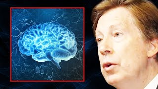 The TOP SUPPLEMENTS to Keep Your Brain Sharp  Dr Dale Bredesen [upl. by Norak]