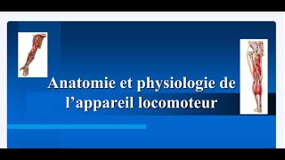 Anatomie et Physiologie de lappareil Locomoteur [upl. by Becht]