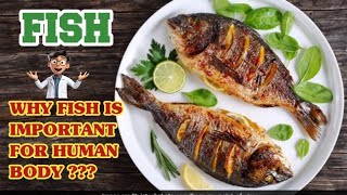 Why FISH is Important for Human body  Fish health benefits [upl. by Alhak6]