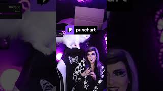 Puschel Jumpscare die Dritte 🤣  wird langsam zur Compilation 😼💜  twitch clips [upl. by Doownil376]