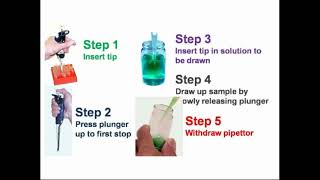 Steps Work of Micropipette [upl. by Lacey]