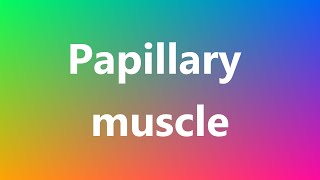 Papillary muscle  Medical Definition and Pronunciation [upl. by Gerdy580]