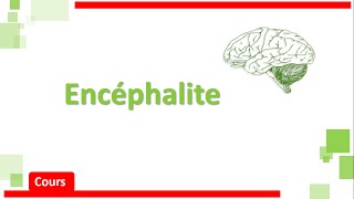 Encéphalite amp MéningoEncéphalite 🧠🩺  Cours  Neurologie [upl. by Droflim488]