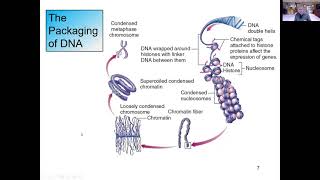 Ch 9  An Introduction to Microbial Genetics 1 of 3 [upl. by Channing]