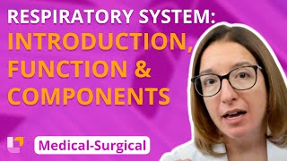 Respiratory System Introduction Function amp Components  MedicalSurgical  LevelUpRN [upl. by Sobel]