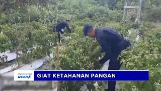 DANSAT BRIMOB POLDA KALTENG GELAR KEGIATAN KETAHANAN PANGAN [upl. by Efron]