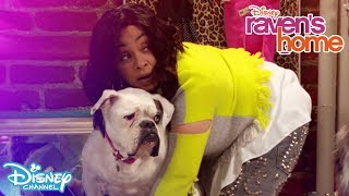 Psychic Lols 4  Dog Dilemna  Ravens Home  Disney Channel Africa [upl. by Heymann]