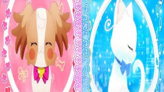 Wonderful Pretty Cure  My Evolution Full Group Transformation [upl. by Ploch880]