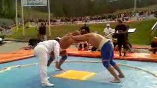 Zieleniecki vs Koklayev SUMO [upl. by Ludovico]