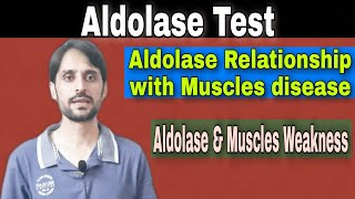 Aldolase Test  Importance in Muscles Disease [upl. by Ahsok]