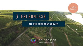 Wandern in Rheinhessen│3 Erlebnisse am RheinTerrassenWeg│Kulinarik amp Spaß [upl. by Tarttan]