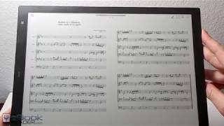 133quot Sony DPTRP1 Sheet Music Review [upl. by Alahc]