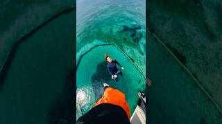 Extreme cliffdiving  shark attack 🦈 insanemoveproduction [upl. by Dill]