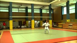 Karate Shotokan 2nd DAN Grading [upl. by Schmitt]