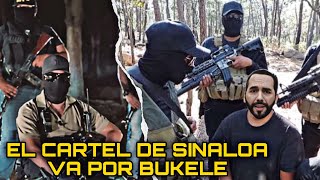 quotIREMOS POR TU C4BEZA BUKEL3quot El cart3l de Mexico [upl. by Handbook]