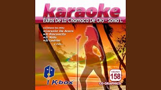 Laberinto Karaoke Version [upl. by Ativ]