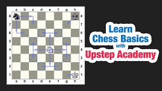 How to play Chess  Learn Basics of Chess  Upstep Academy [upl. by Erodaeht]