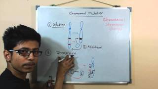 Chromosomal mutations  deletion mutation [upl. by Reidar14]