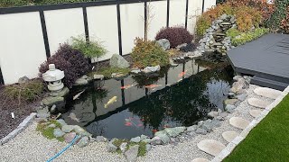 Beautiful Japanese style Koi Pond in the UK [upl. by Warila]