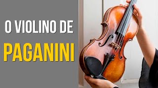 IL CANNONE  VIOLINO DO PAGANINI  REACTS  REAÇÕES  LUTHIER WILLIAN VASCONCELLOS [upl. by Libyc43]