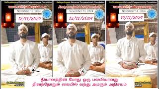 தியானத்தின் போது ஒரு பல்லியானது தினந்தோறும் கையில் வந்து அமரும் அதிசயம் vallalar meditation [upl. by Ikey]