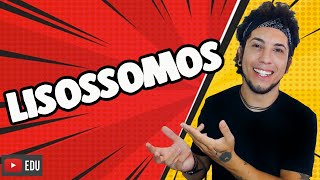 LISOSSOMOS  FUNÇÕES  Biolodúvidas com Patrick Gomes [upl. by Starks]