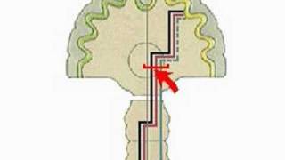 How the Body Works  Sensory Pathways [upl. by Yror35]