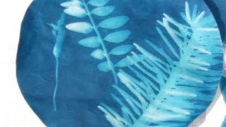 Cyanotypie Cyanotype [upl. by Blakelee831]