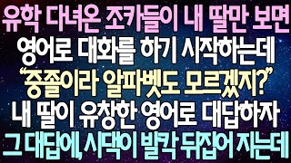 반전 사연 유학 다녀온 조카들이 내 딸만 보면 영어로 물어보기 시작하는데 내 딸이 유창한 영어로 대답하자 그 대답에 시댁이 발칵 뒤집어 지는데 사이다사연라디오드라마 [upl. by Keffer]