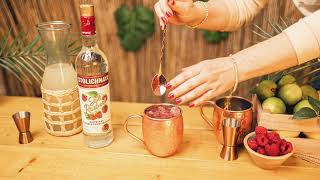 The Booze Bar  Stolichnaya Razberi Mule Cocktail [upl. by Ennael]