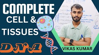 Complete Cell and Tissue Cell ampTissue DNA amp PROTEINS Mitosis [upl. by Neibaf122]