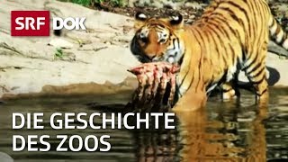 Der Zoo und seine Geschichte in der Schweiz  Zoo Zürich amp Zoo Basel  Doku  SRF Dok [upl. by Nerag964]