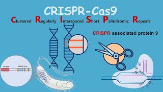 CRISPRCas9  Introduction and discovery [upl. by Sherfield]