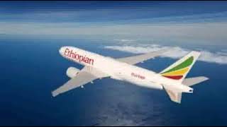 Zimbabwean Father Sues Ethiopian Airlines for R3m Over Sons Denied Boarding [upl. by Netniuq]